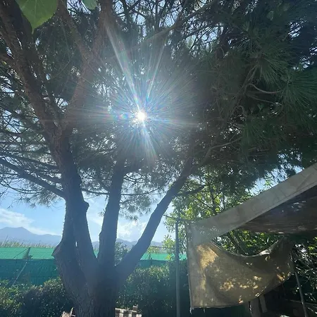 El Huerto Chalet